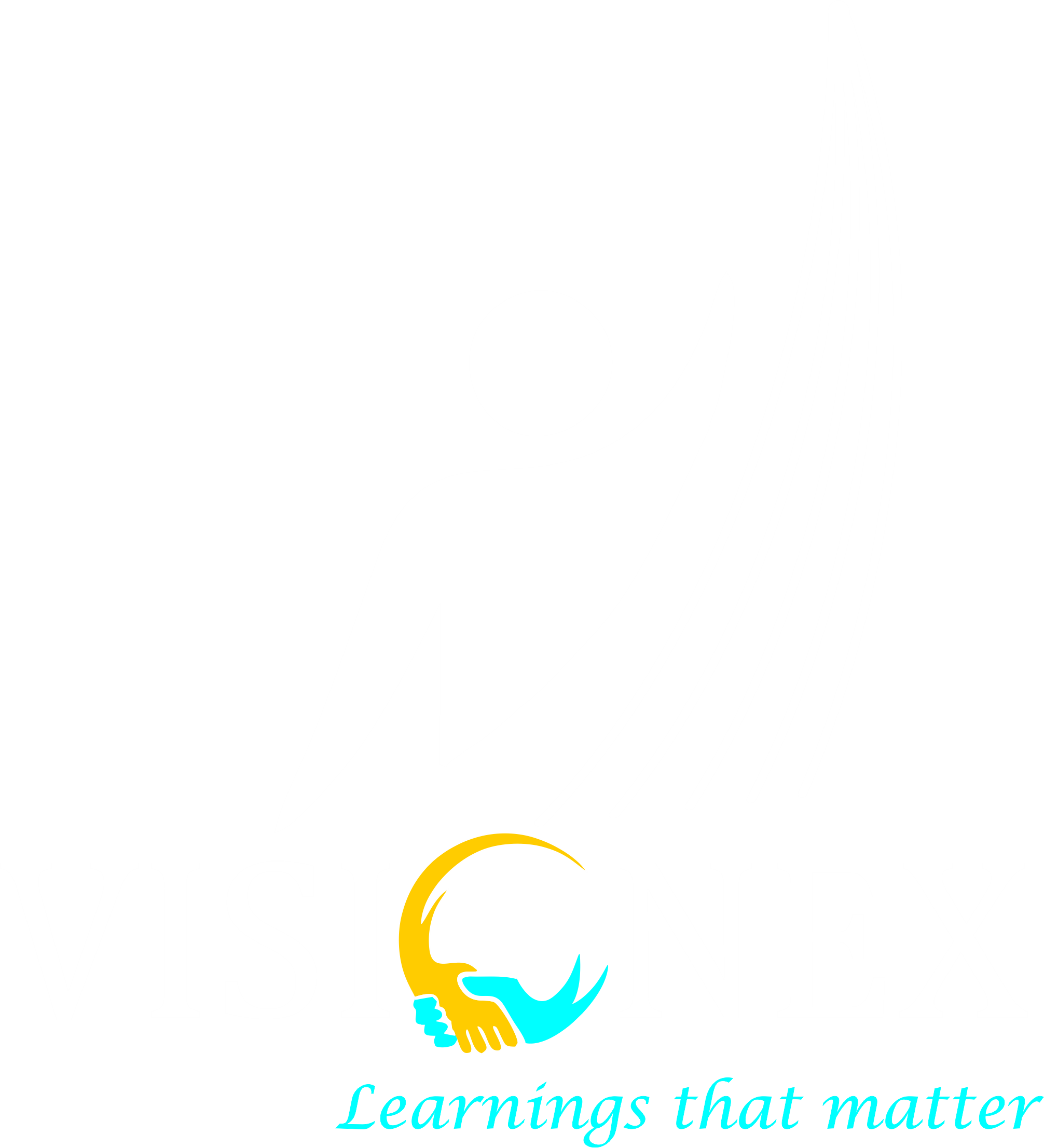 VISIONEX