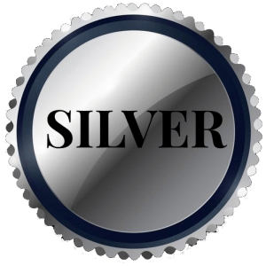 Game Changer Seminar 2025 – Silver Ticket